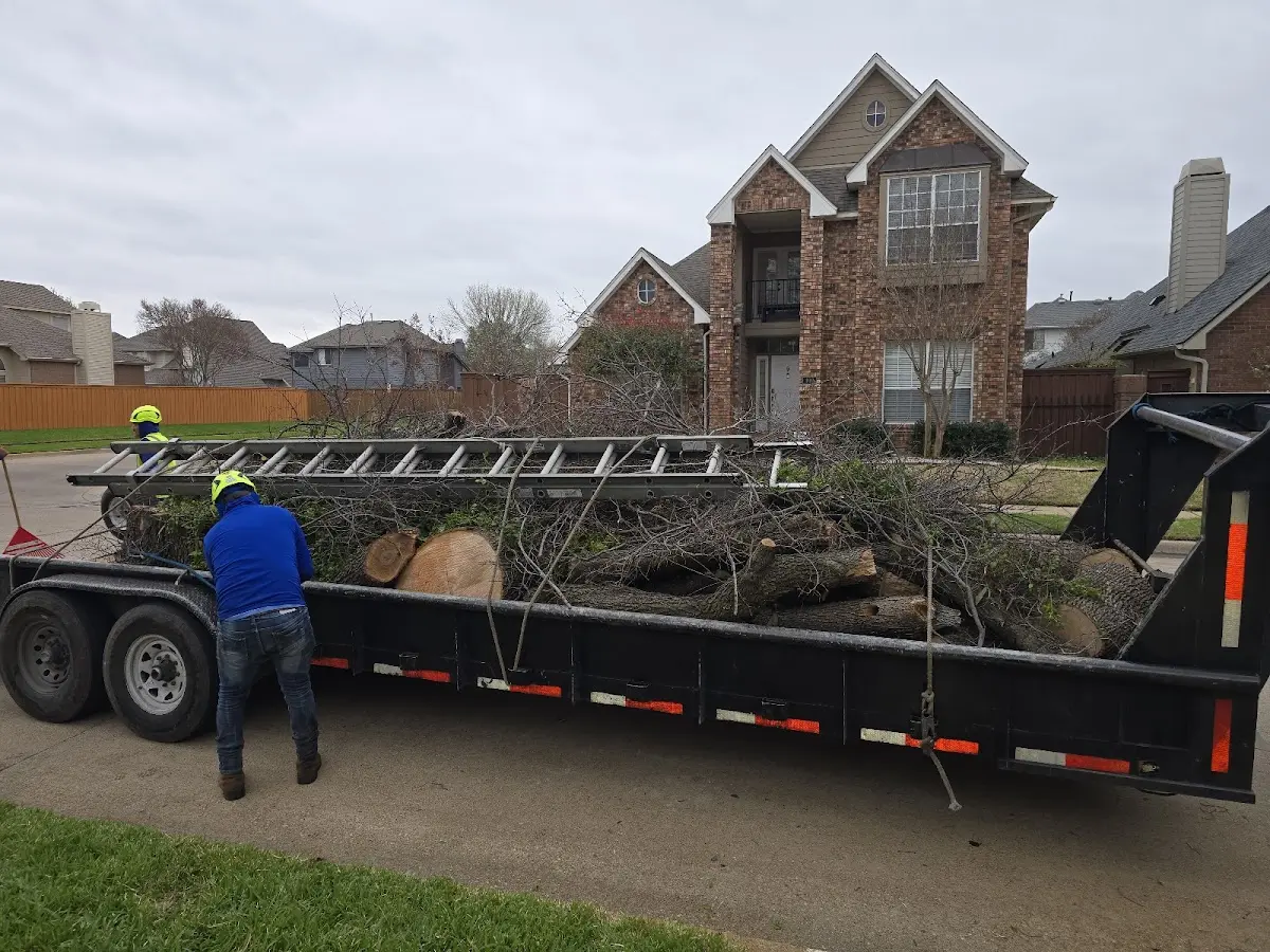 Expert Tree Fertilization with proper safety equipment in Bountiful